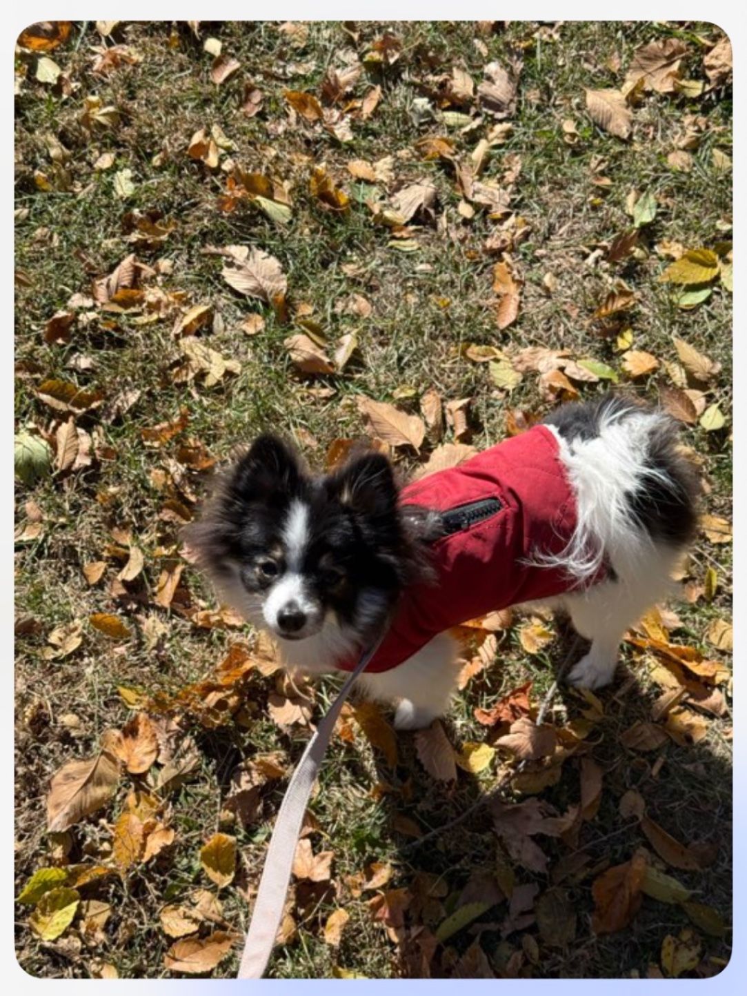 Maggie!