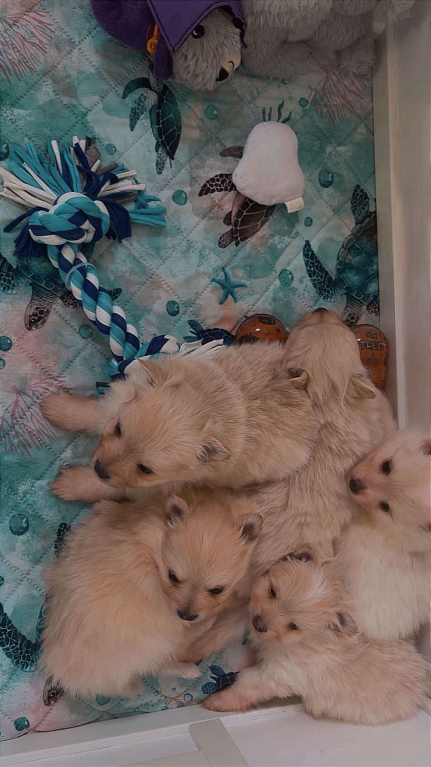 Our Growing Babies!!